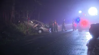 Car crashes into a tree Wayne County