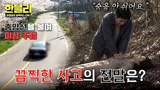 [Hanmuncheol’s Black Box Review] A rogue vehicle strikes a couple on a cherry blossom road... A s...