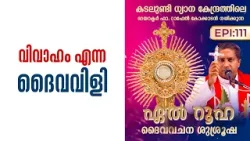 വിവാഹം എന്ന ദൈവവിളി | El Ruha EP 111 | Shalom TV | Fr. Raphael Kokkadan