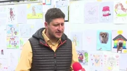 Позитивни чекори во решавањето на проблемот со кучињата скитници во Скопје