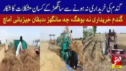 Sanghar farmers face difficulties as wheat procurement remains stalled | Vsh News Sanghar farmers face difficulties as wheat procurement remains stalled | Vsh News