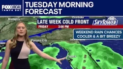 Tampa weather | Tuesday morning forecast