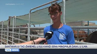 Horse sanctuary has been without electricity and water for almost a year