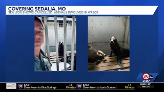 Sea lion shows canceled at Missouri State Fair after crash