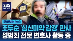 The Judge Who Gave Cho Doo-soon a 'Reduced Sentence Due to Intoxication' Is Now a Defense Attorne...