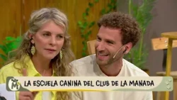 Cómo enseñarle a un perro a cruzar la calle de forma segura - El Club de la Manada