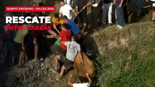Rescate entre zarzas: quinto encierro del Pilón de Falces 2026