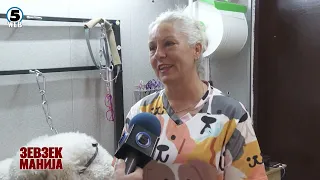 Зевзекманија  Грумер Валентина