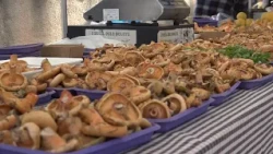 Llagostera omple els carrers de tradició, cultura i gastronomia en un exitosa 24a Fira del Bolet