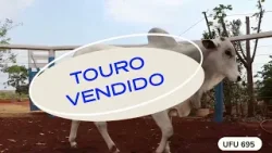 TOURO UFU 695