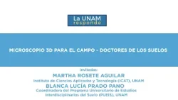 Microscopio 3D para el campo.Doctores de los suelos. La UNAM responde 1274