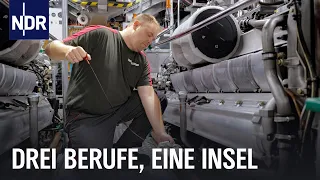 Arbeiten auf Amrum: Inselhebamme, Gemüsegärtner und Maschinist auf Rettungskreuzer | Die Nordreporta