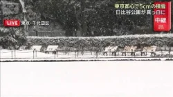 東京都心に5センチの積雪　一時は“横なぐり”日比谷公園も真っ白(2026年2月8日)
