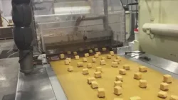 Behind the scenes at Fowler's chocolates