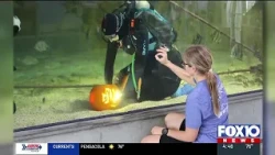 2 Halloween events planned for the weekend in Mobile County