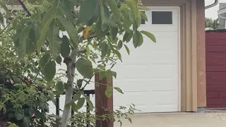 Quiet Pleasanton neighborhood shattered by apparent murder-suicide
