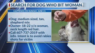 Search for dog that bit Elmira woman