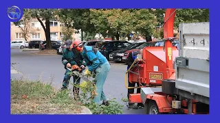 DSTV | SZÉPÜL A KÖRZET
