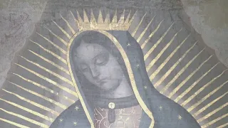 From Mexico City to Andria: The Jubilee of Our Lady of Guadalupe