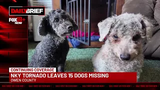 Daily Brief: NKY  tornado leaves 15 dogs missing