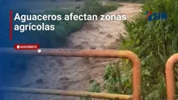 Aguaceros afectan zonas agrícolas