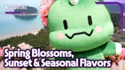 [K-CULTURE MINUTES:K-NOW] Experiencing Korea’s Spring with All Five Senses… A Trip to the Yellow Sea
