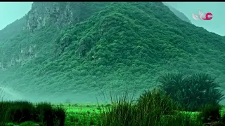 Khor Kharfut Reserve: A Masterpiece Between Mountain and Sea, Adorned by the Greenery of Dhofar a...