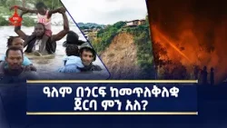 የመፍትሄውንም ሆነ የችግሩን ፈጣሪዎች ያልማረ የተፈጥሮ ቅጣት ለምን ተበራከተ?  Etv | Ethiopia | News zena