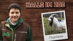 Leben abseits des Streichelzoos