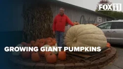 1,703-pound giant is pumpkin grower's personal best. Now his son is getting into the hobby