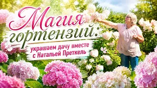 Hydrangeas: Queens of the Garden — Decorating Your Dacha with Natalya Pretkel | Good Luck at the ...