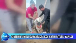 KIRŞEHİR SIDIKLI KUMARBAÇTA ATALARIMIZIN GELENEKLERİNDEN OLAN KOÇ KATIM RİTÜELİ YAPILDI