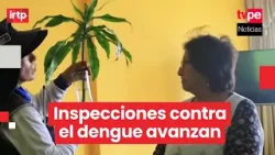 Puente Piedra: inspeccionan más de 1000 viviendas para prevenir dengue en verano