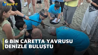 6,000 BABY CARETTAS REACH THE SEA