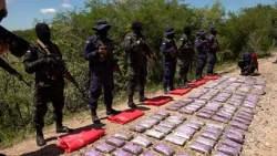 Nicaraguan Army seizes 150 bricks of cocaine