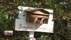 Vasto (CH). I 'bimbi nel bosco' spostati in un'altra struttura