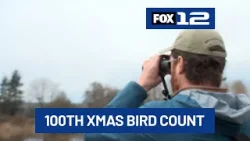 Bird Alliance of Oregon marks 100th annual Christmas Bird Count