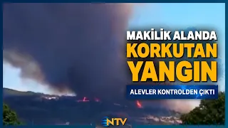 Breaking News: Fire That Started on Agricultural Land Spirals Out of Control! | NTV