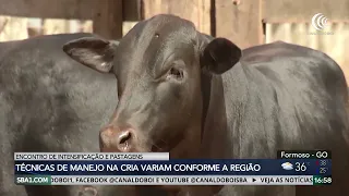 Meeting on Intensification and Pastures highlights ILP (Integrated Crop-Livestock Systems) and th...