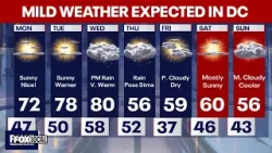 DC Weather: Week starts sunny with mild temperatures