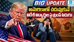 US OPT $100,000 Fee Proposal Shocks Indian Students | H-1B Visa & America Study Dream