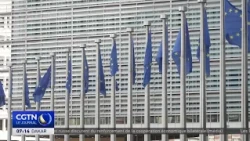 China: Open cooperation and fair discussions serving China-EU common interests