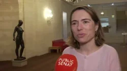 Montchalin à la Cour des Comptes: "Elle pourrait faire presque la moitier de sa carrière la bas"