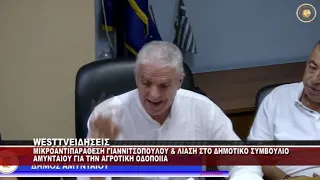 ΜΙΚΡΟΑΝΤΙΠΑΡΑΘΕΣΗ ΛΙΑΣΗ & ΓΙΑΝΝΙΤΣΟΠΟΥΛΟΥ ΓΙΑ ΤΗΝ ΑΓΡΟΤΙΚΗ ΟΔΟΠΟΙΙΑ ΣΤΗ ΒΕΓΟΡΑ ΑΜΥΝΤΑΙΟΥ