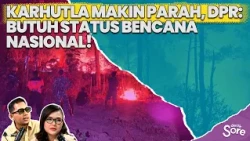 Forest Fires Worsen, What Can the Government Do?