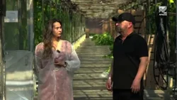 Сельский кластер