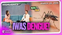 Mga Lugar na Maaaring Pamugaran ng Dengue, Alamin!