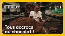 Quels ingrédients retrouve-t-on dans nos chocolats et quels en sont les bienfaits ?