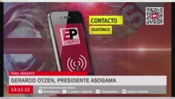 ENTREVISTA GERARDO OTZEN