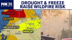 Drought, recent freeze raise wildfire risk across Florida